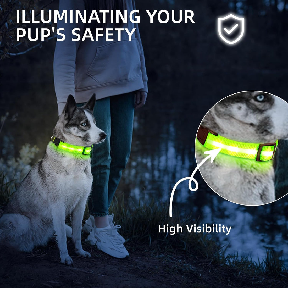 Super Bright LED Dog Collar, Waterproof Light up Collars