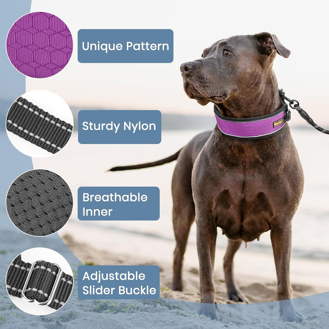 Mayerzon Patented No Pull Collar for Small Medium Large Dogs, Purple