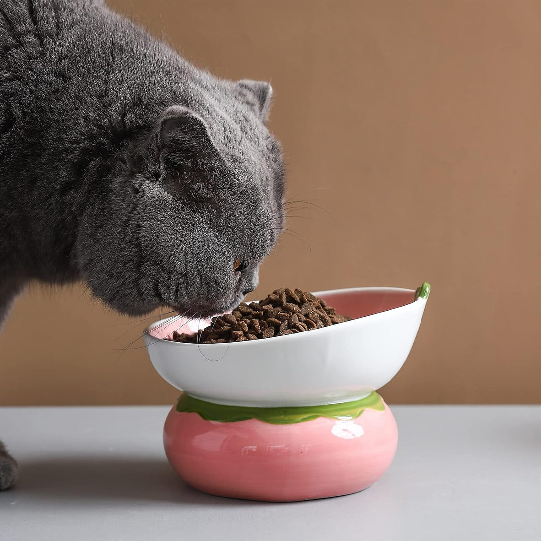 Yeexoxow Ceramic Raised Cat Bowl