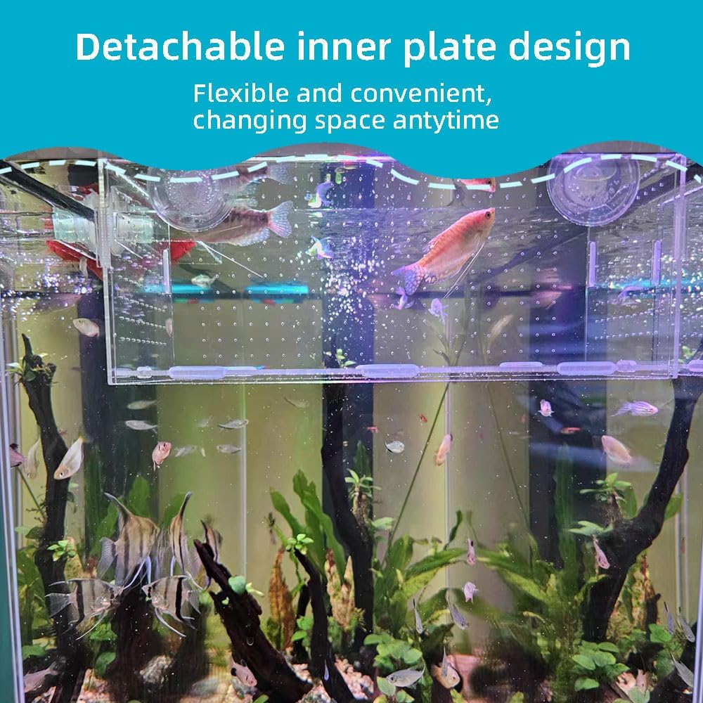 Fish Breeding Box, Acrylic Isolation Box Separator for Aquarium