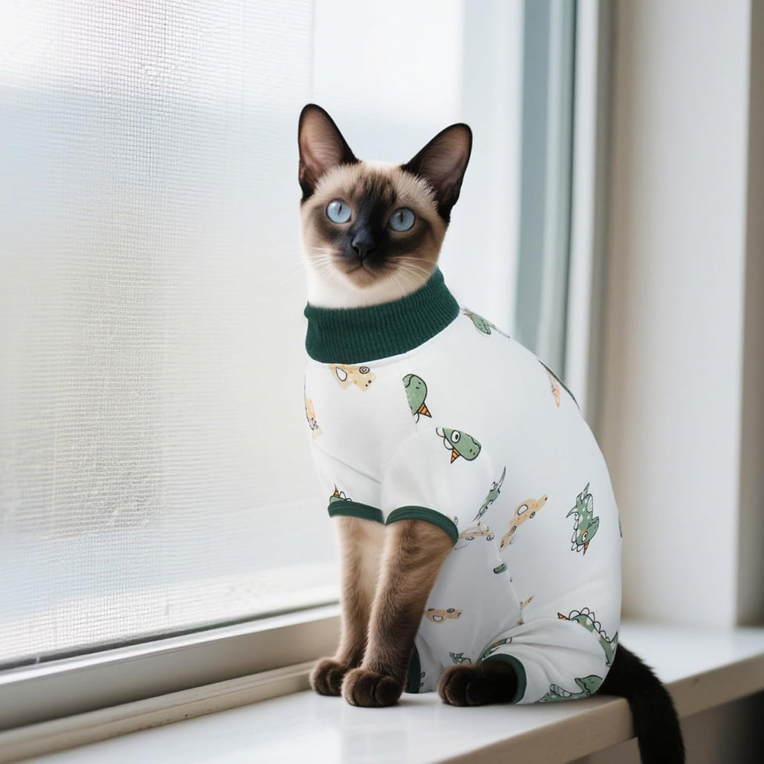 DENTRUN Cat Surgery Recovery Suit Female Male