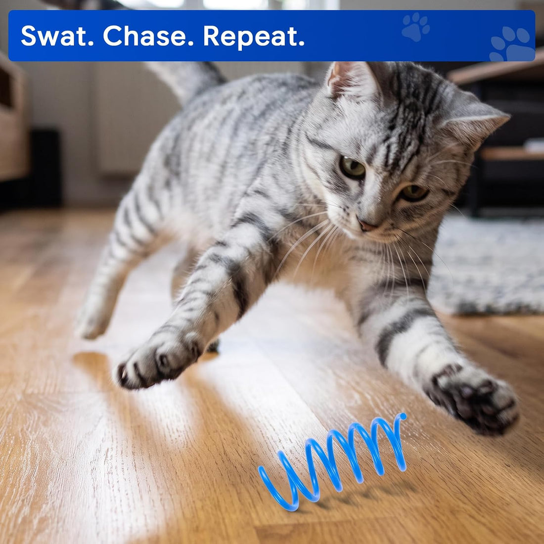 80 Pack Cat Spring Toys, Interactive Self Play for Indoor Cats