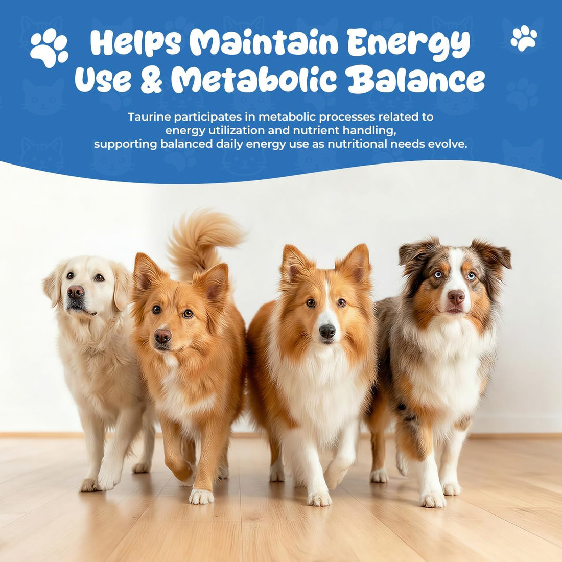 Taurine Liquid Supplement for Dogs, Heart & Muscle Function