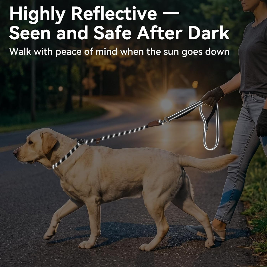 Joytale Slip Lead Dog Leash with Dual Handle, No Pull, Black