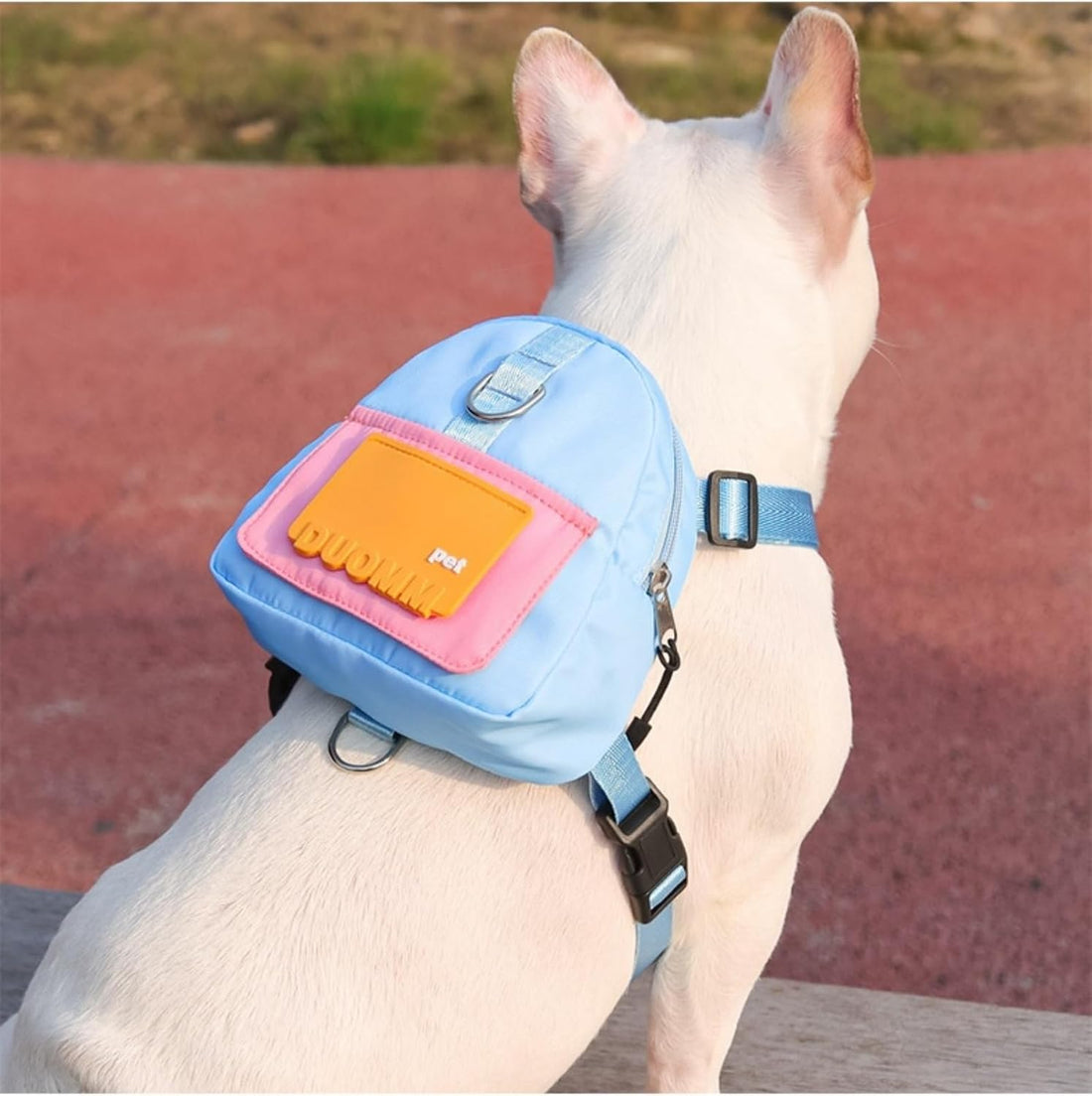Backpack for Small Dogs to Wear,Dog Backpack with Leash