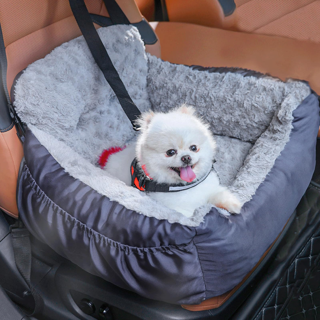 Oiilores Dog Car Seat for Small Dogs