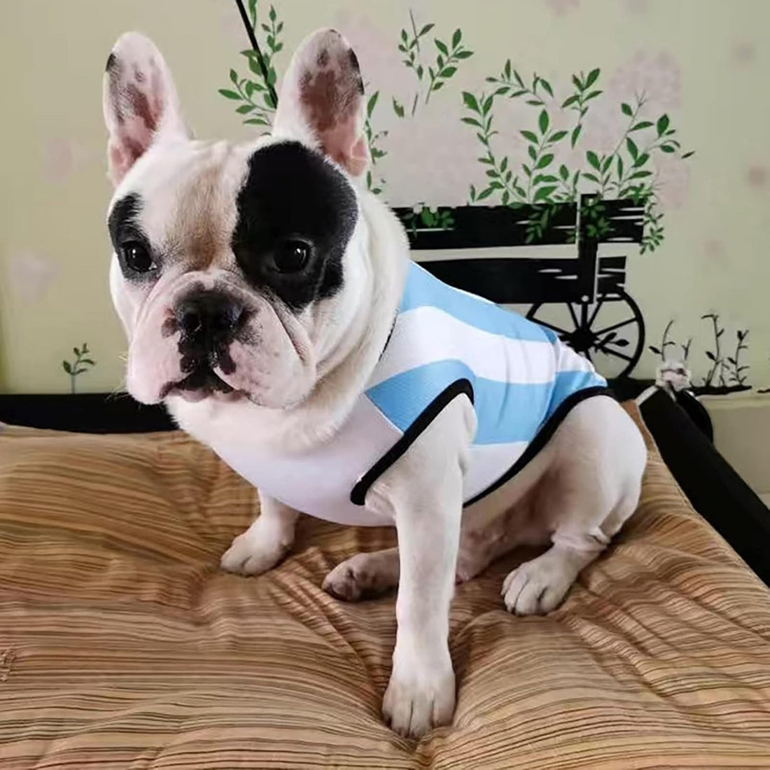 GabeFish Dog World Cup T Shirt Pets Football Jersey Sports Soccer