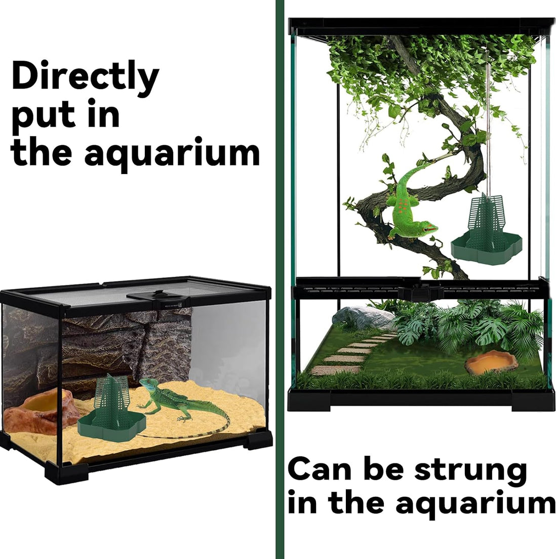Chameleon Feeder Bearded Dragon Feeder for Mounted Insect(Medium)