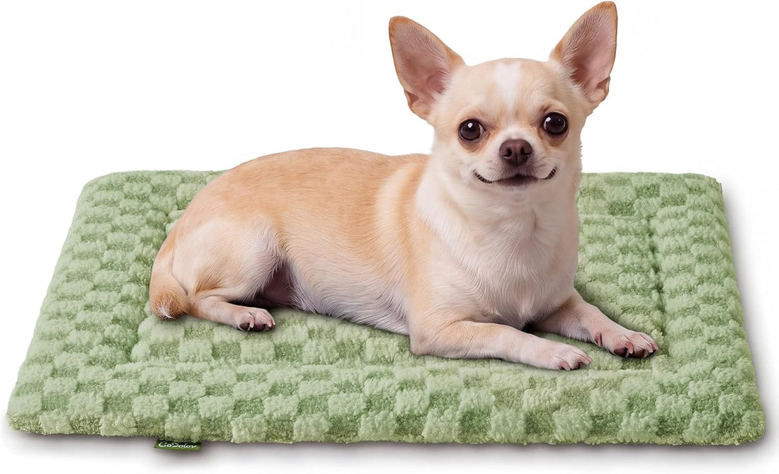 Pet Bed Mat Crate Pad for Cats Small Dogs, Khaki 24''x18''
