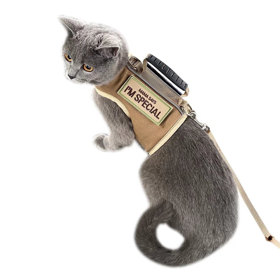 Tactical Cat Harness and Leash for Walking Escape Proof