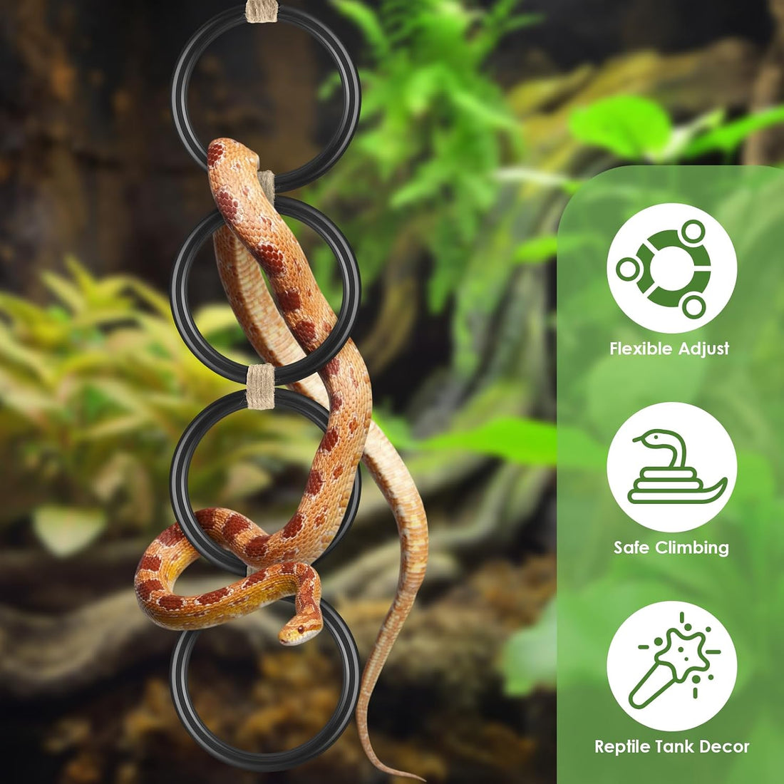 DBNESS Snake Climbing Rings, Ball Python Enclosure Enrichment Ring