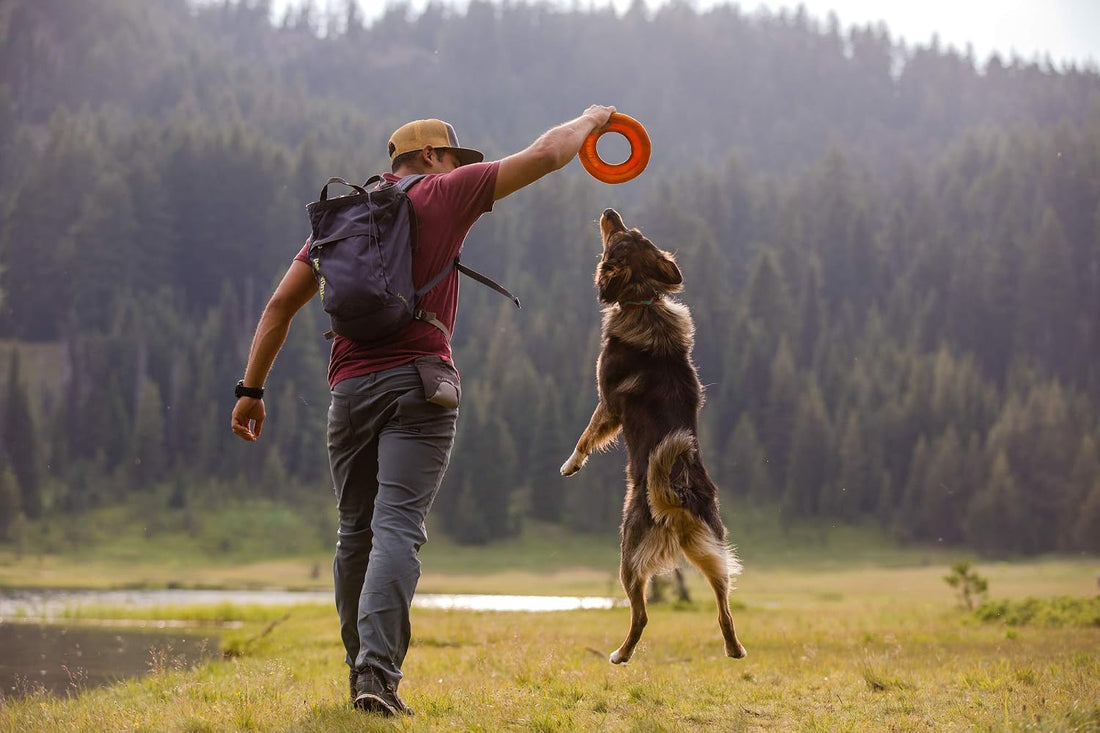 Ruffwear Hydro Plane Floating Dog Flying Disc