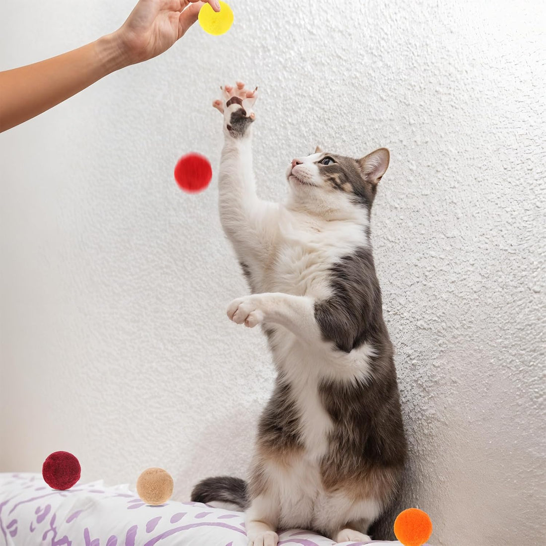 Xthrotsenk 100 Pcs Cat Toy Balls 1-inch Colorful Cat Pom Pom Balls