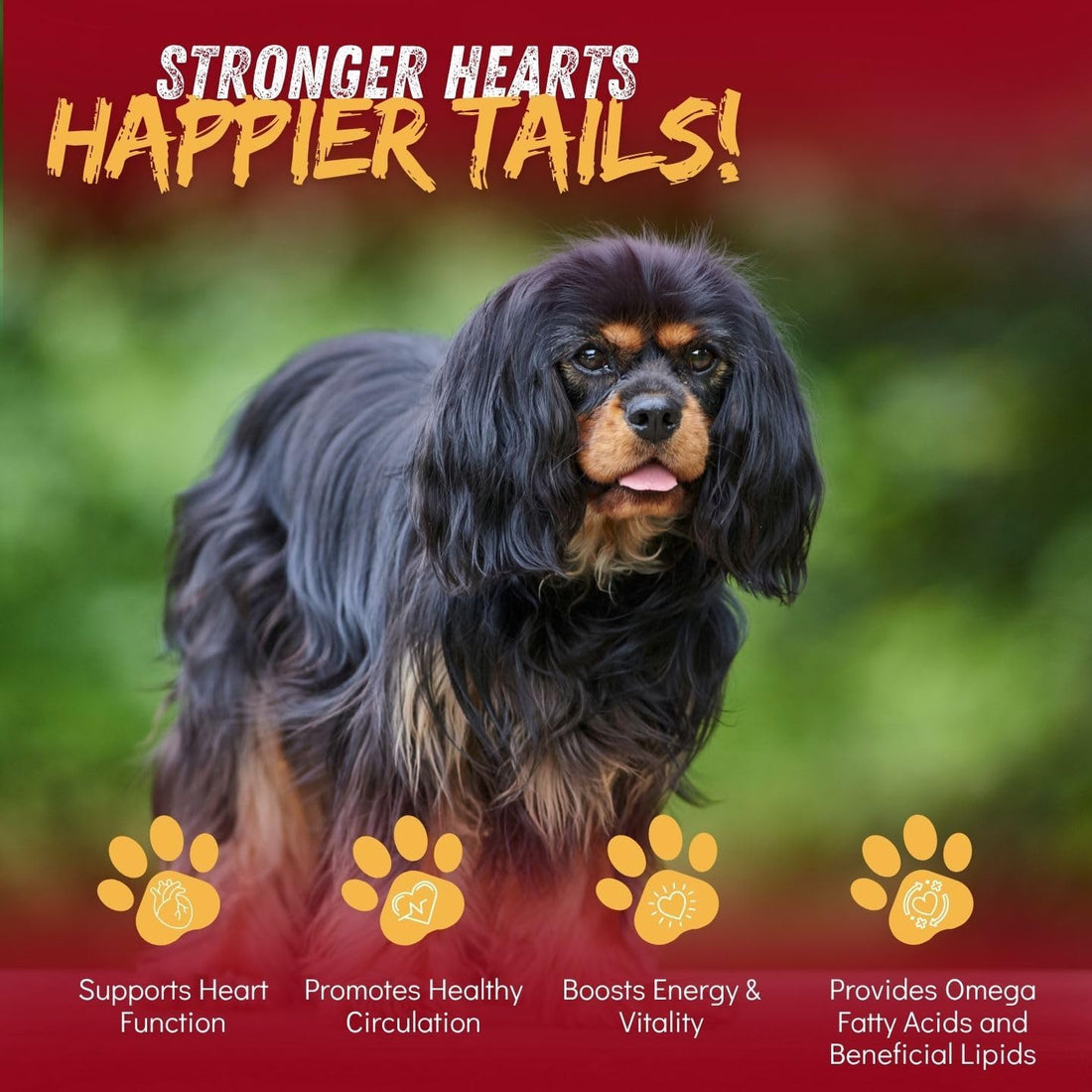 CardioChew Heart Supplement for Dogs – Vet Formulated with Taurine