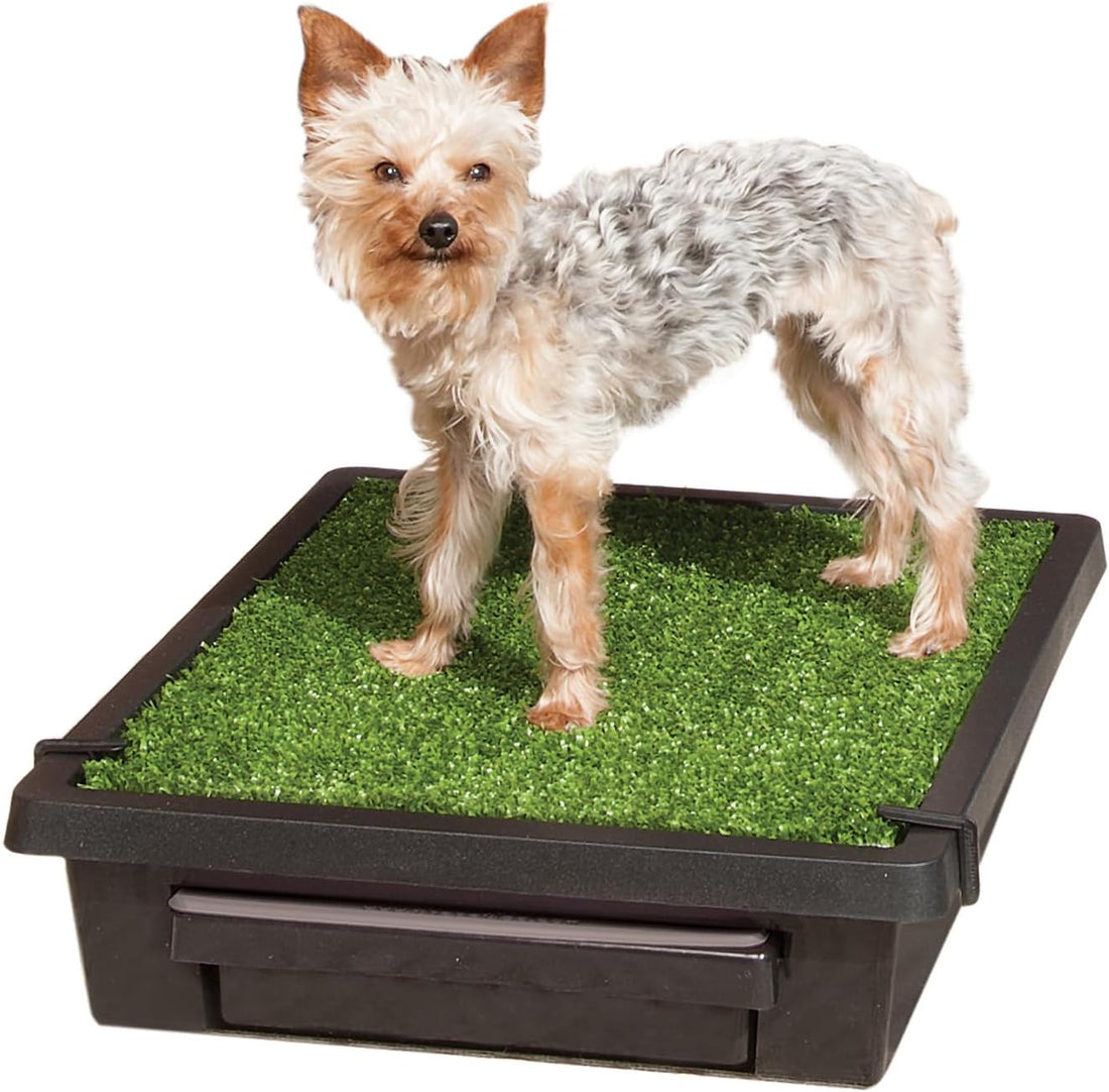 PetSafe Pet Loo Portable Dog Potty, Medium