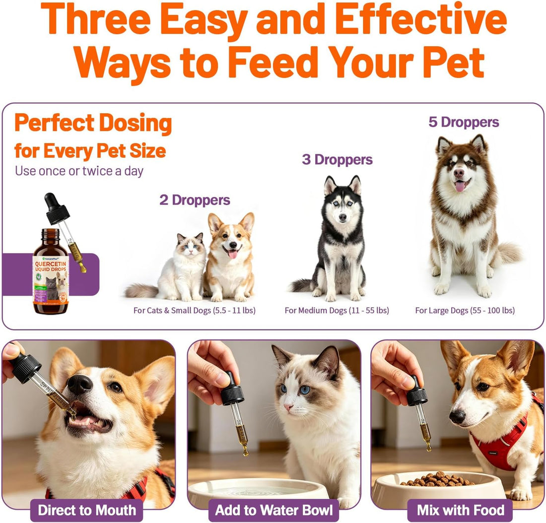 Quercetin Drops for Dogs & Cats, Allergy & Itch Relief, 2 fl oz
