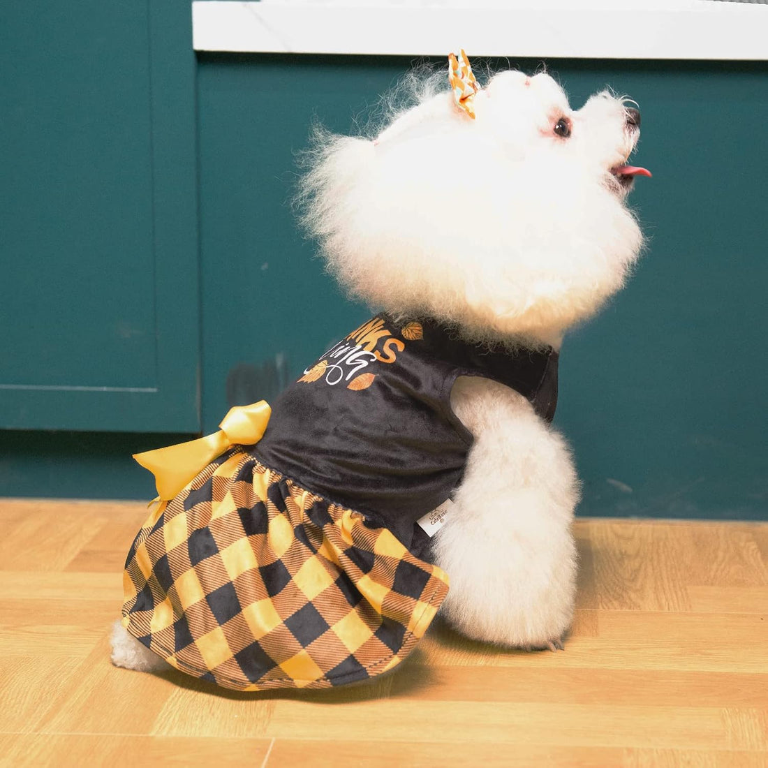 CuteBone Happy Thanksgiving Day Dog Fall Dress Costume Velvet