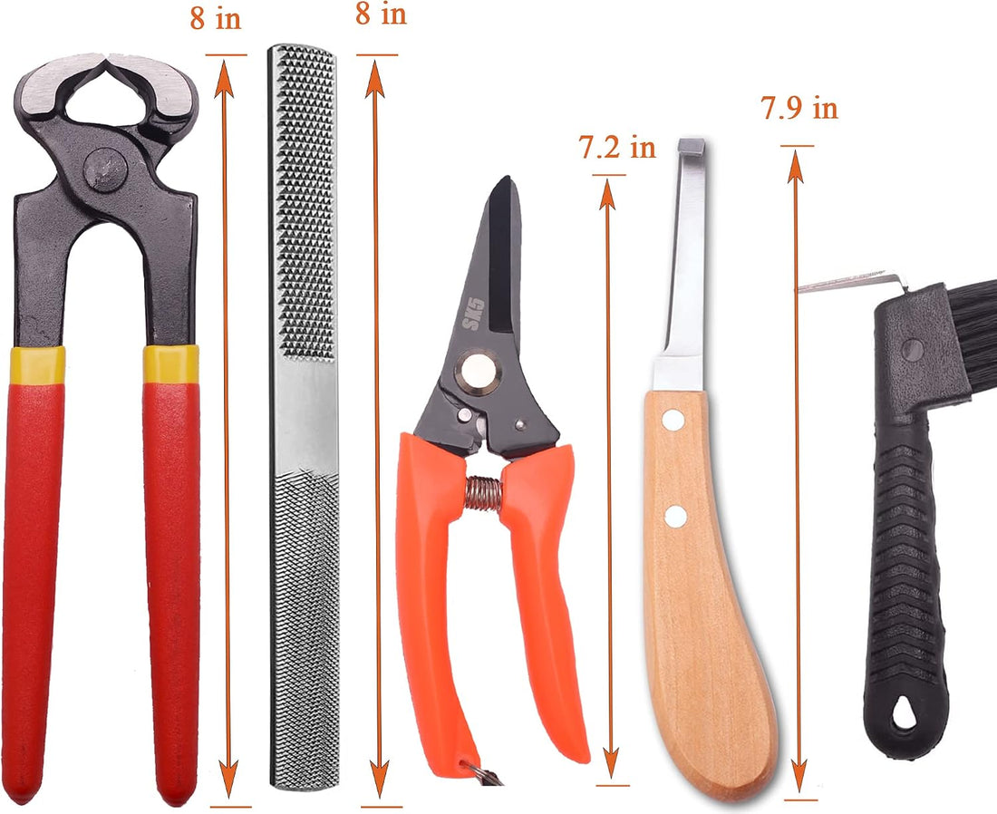 8 inch Farrier Tool Kits (7 Piece) Mini Rasp Hoof File Goat Pig
