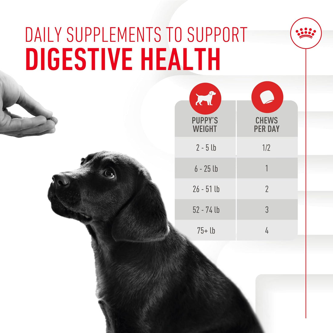 Royal Canin Puppy Supplement Soft Chews for Immunity & Digestion