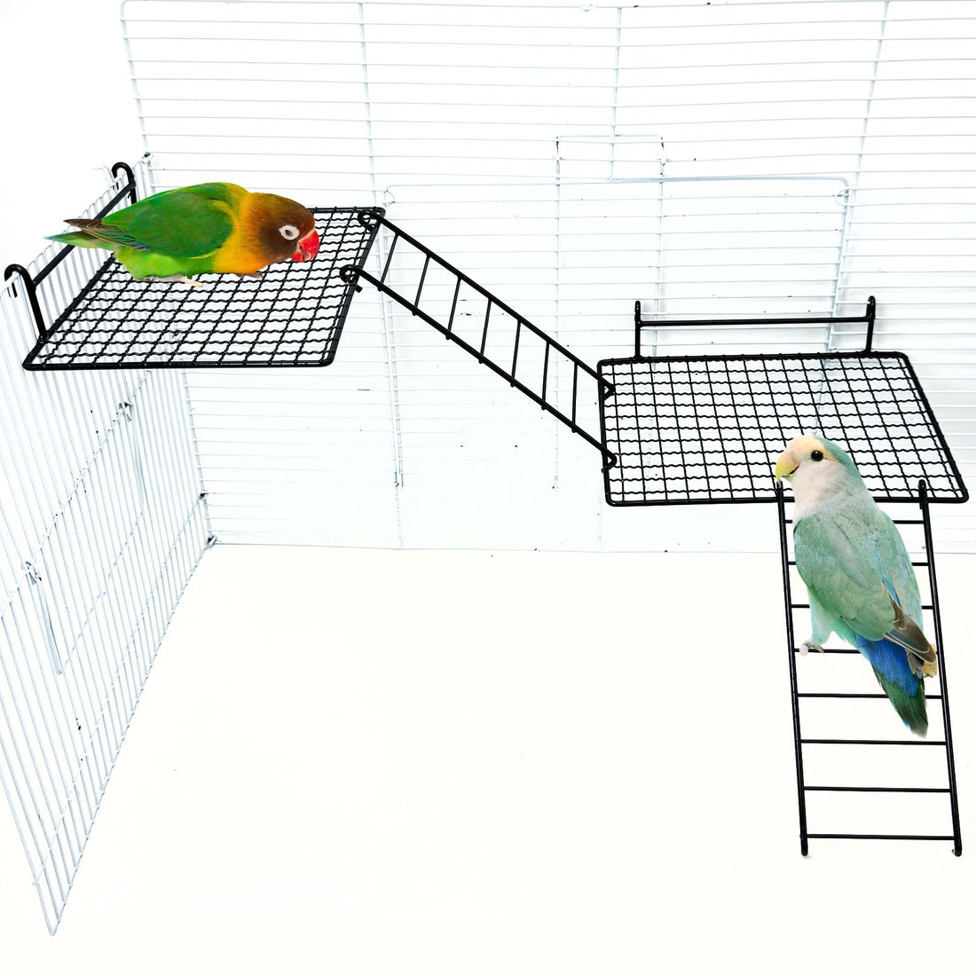 BNOSDM Stainless Steel Grid Platform for Parakeet 4 PCS Bird Perches