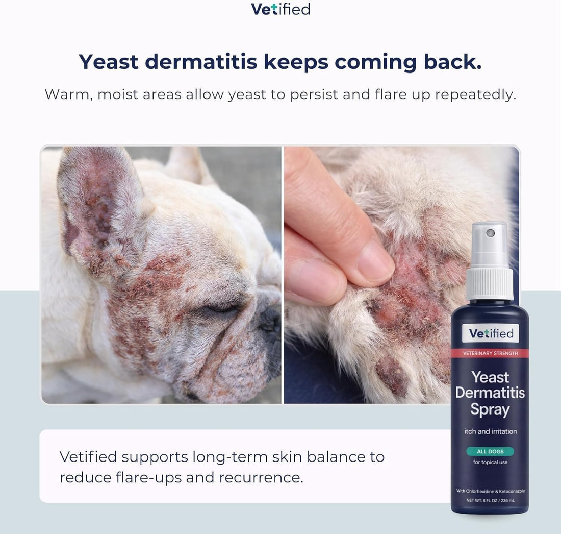 Yeast Dermatitis Treatment for Dogs - 8 Fl Oz Spray