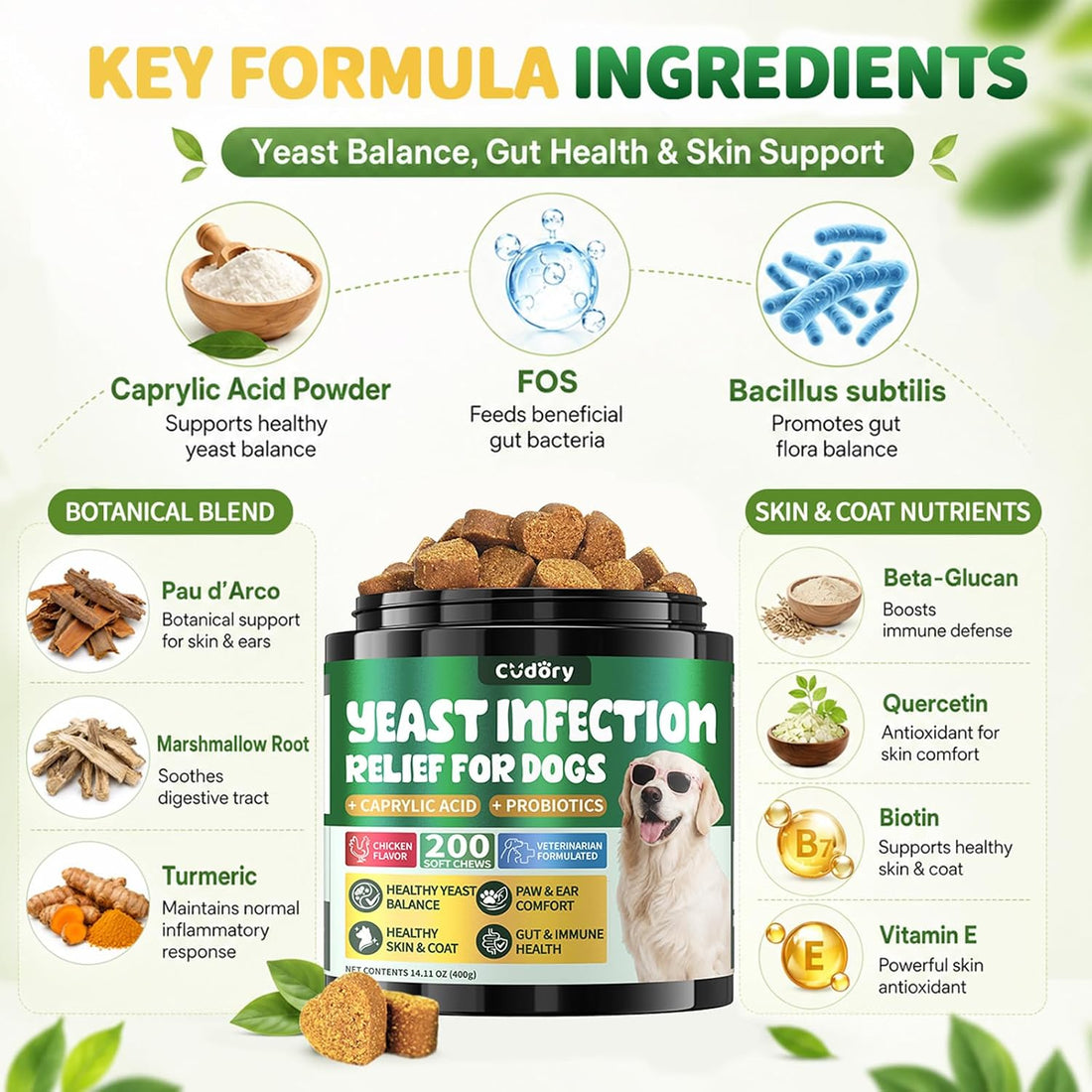 Yeast Infection Treatment for Dogs, Paw Licking, Itchy Ears