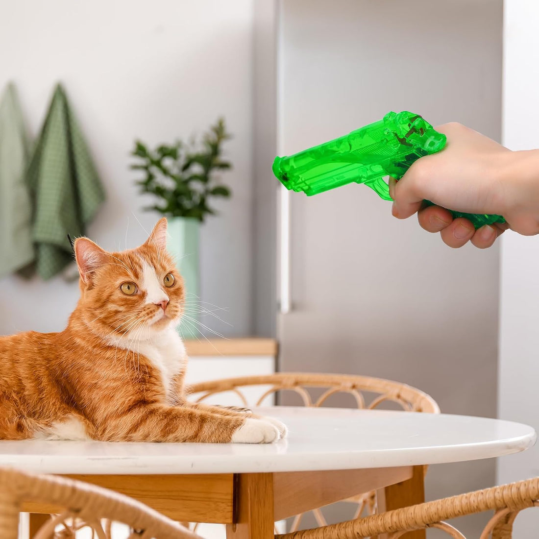 Geelin 2 Pack Squirt Spray for Cats Dogs Training