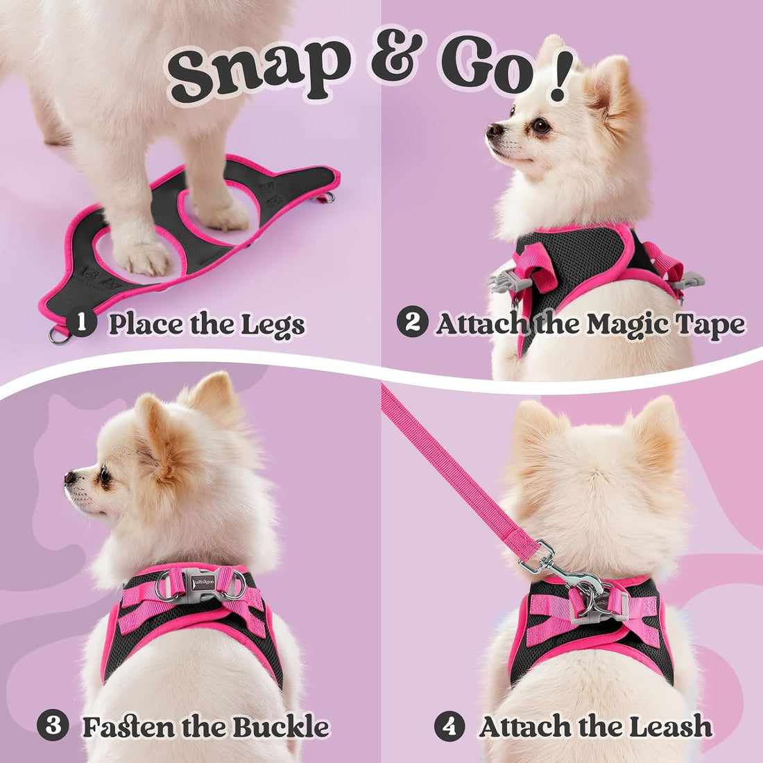 rabbitgoo Dog Harness Small Sized and Leash Set