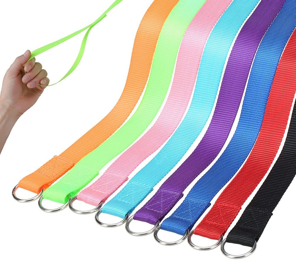 HOMIMP Slip Lead Dog Leash 6 FT- 48 PCS Bulk Colors Kennel Control