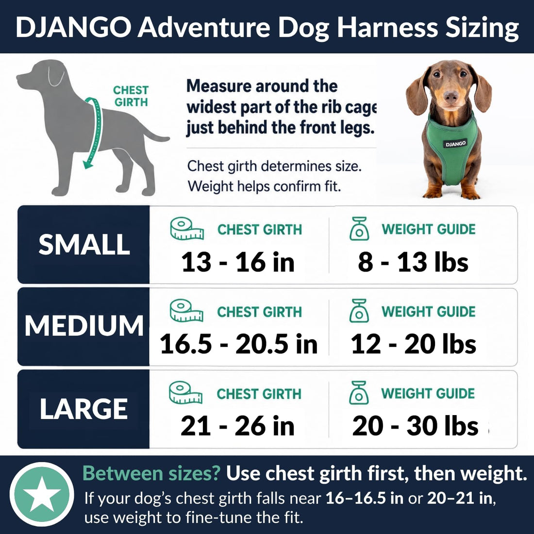 DJANGO Adventure Dog Harness