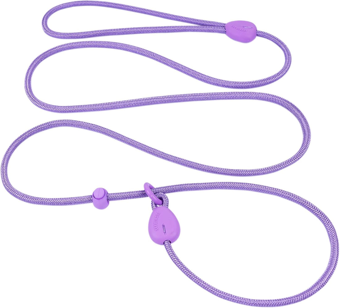 6FT Dog Training Leash - Slip Lead for Small & Medium Dogs - Strong