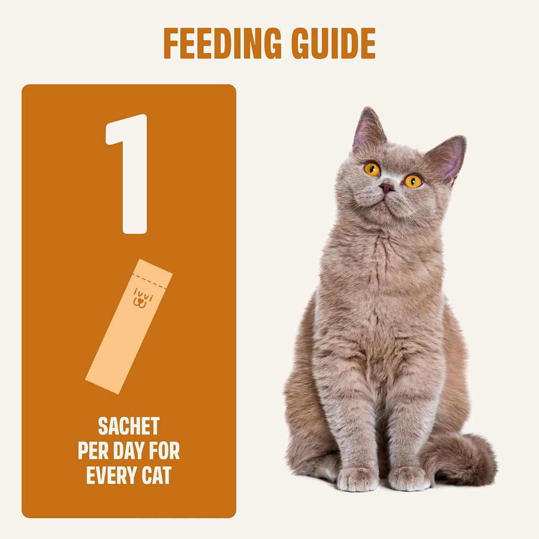 ivvi Skin & Coat for Cats β Functional Creamy Snack with Salmon Oil