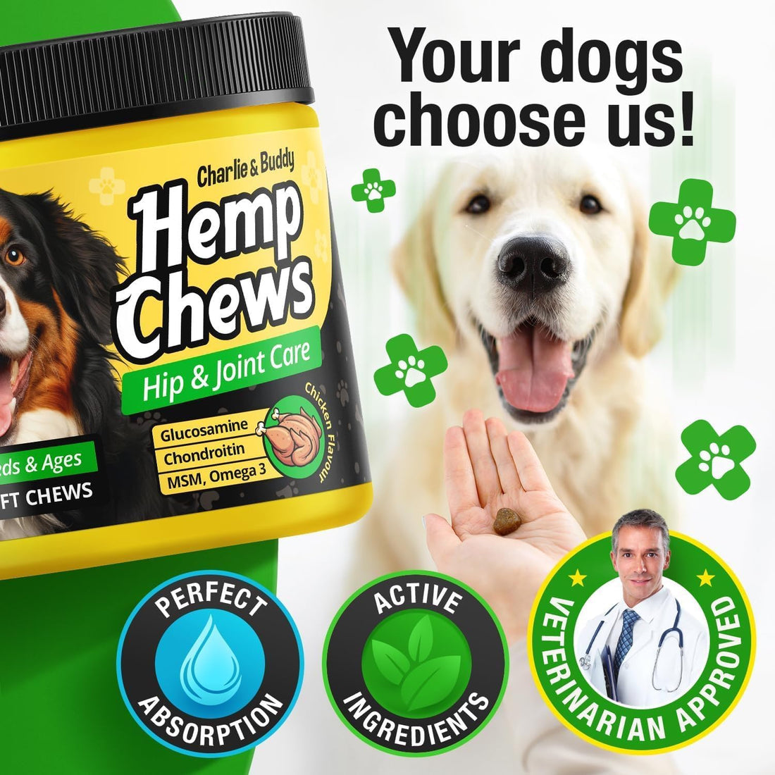 Glucosamine Chondroitin for Dogs - Hip Joint Supplement