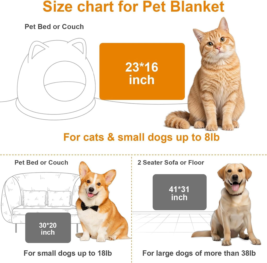 Cat Print Blanket for Indoor Cats Flannel, Kitten Throw Blankets