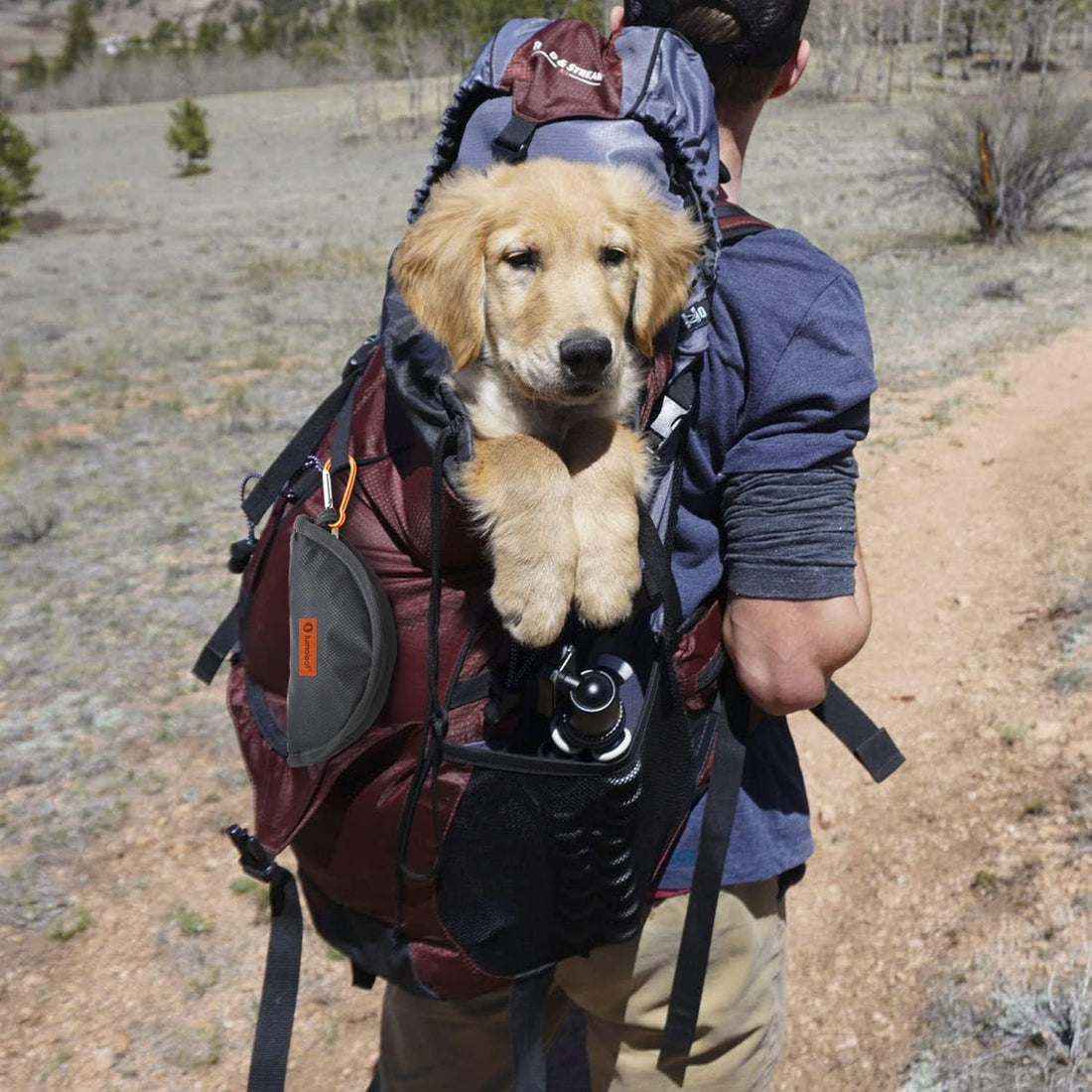 LumoLeaf Collapsible Dog Travel Bowl
