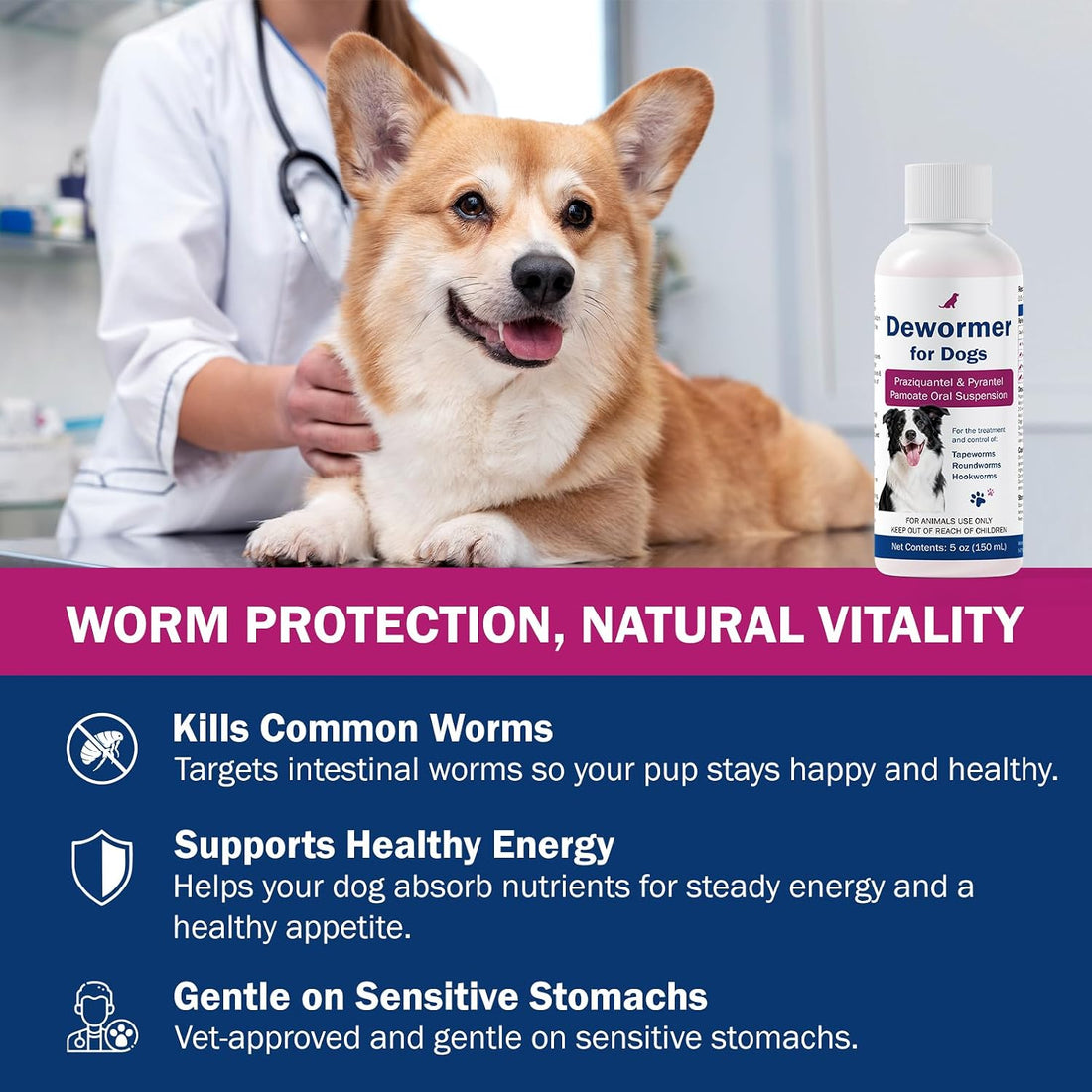 Dewormer for Dogs, Praziquantel & Pyrantel Pamoate
