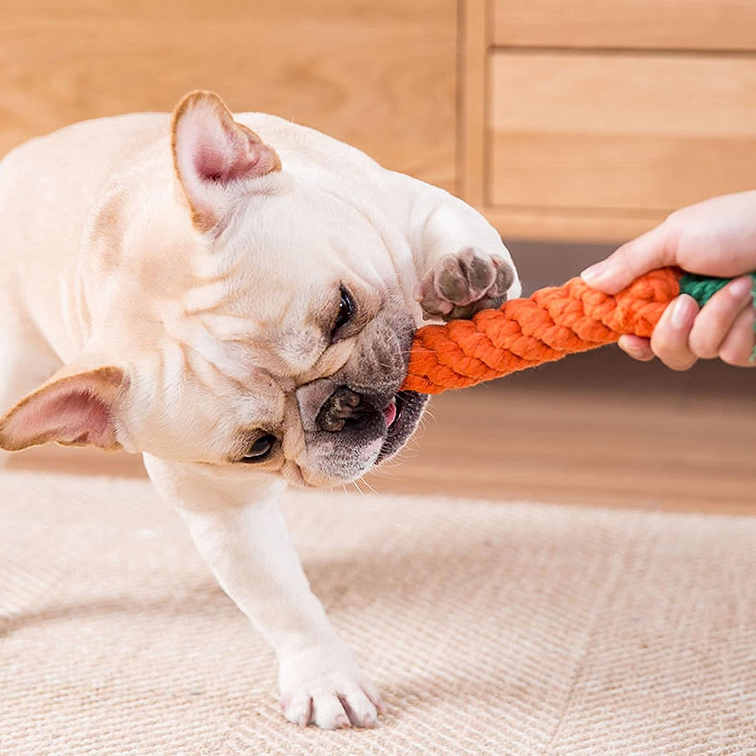 HESUILONG Dog Toys 3 PCS Puppy Teething Chew Toys,Dog Rope Toys,Cat