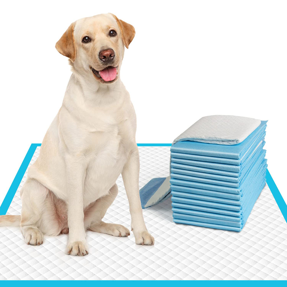 IMMCUTE Large Dog Pee Pads 28"x30"-50 Count