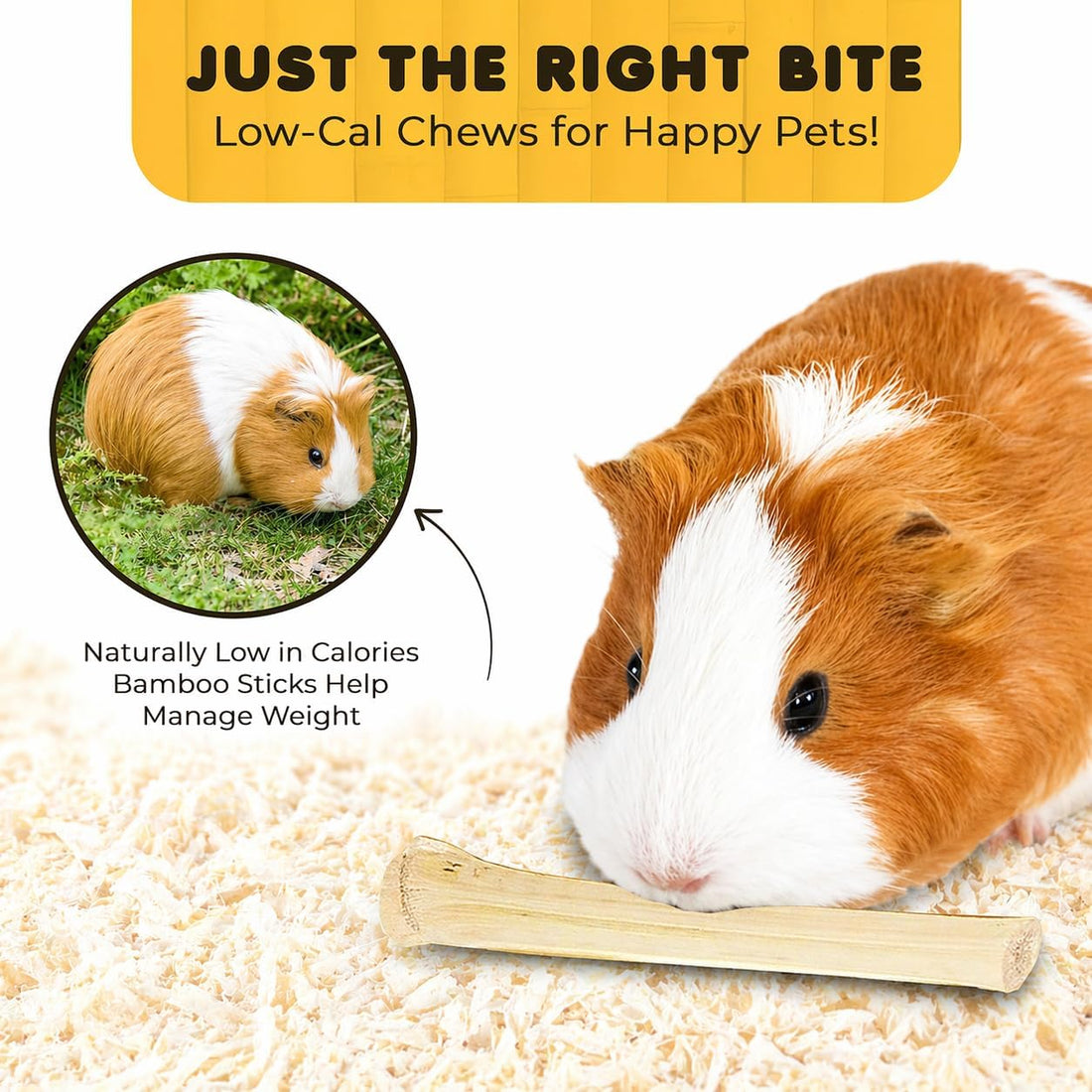 SunGrow Sweet Bamboo Chew Sticks for Rabbits