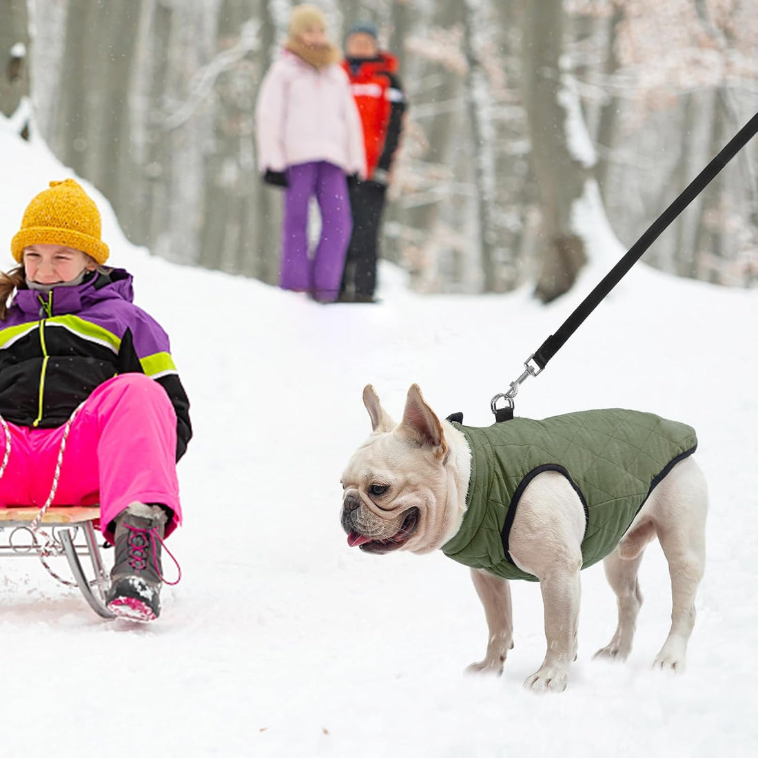 SCENEREAL Winter Dog Vest Coat with Harness Built in