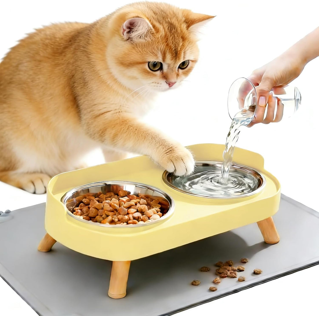 Elevated Cat Bowls, Raised Cats Food and Water Bowl Set for Indoor