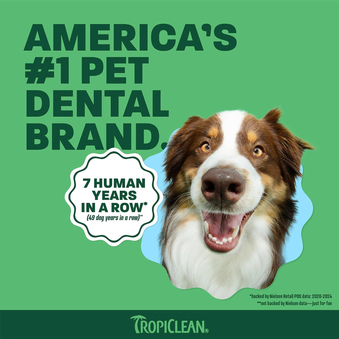 TropiClean Fresh Breath Dog Toothpaste Gel