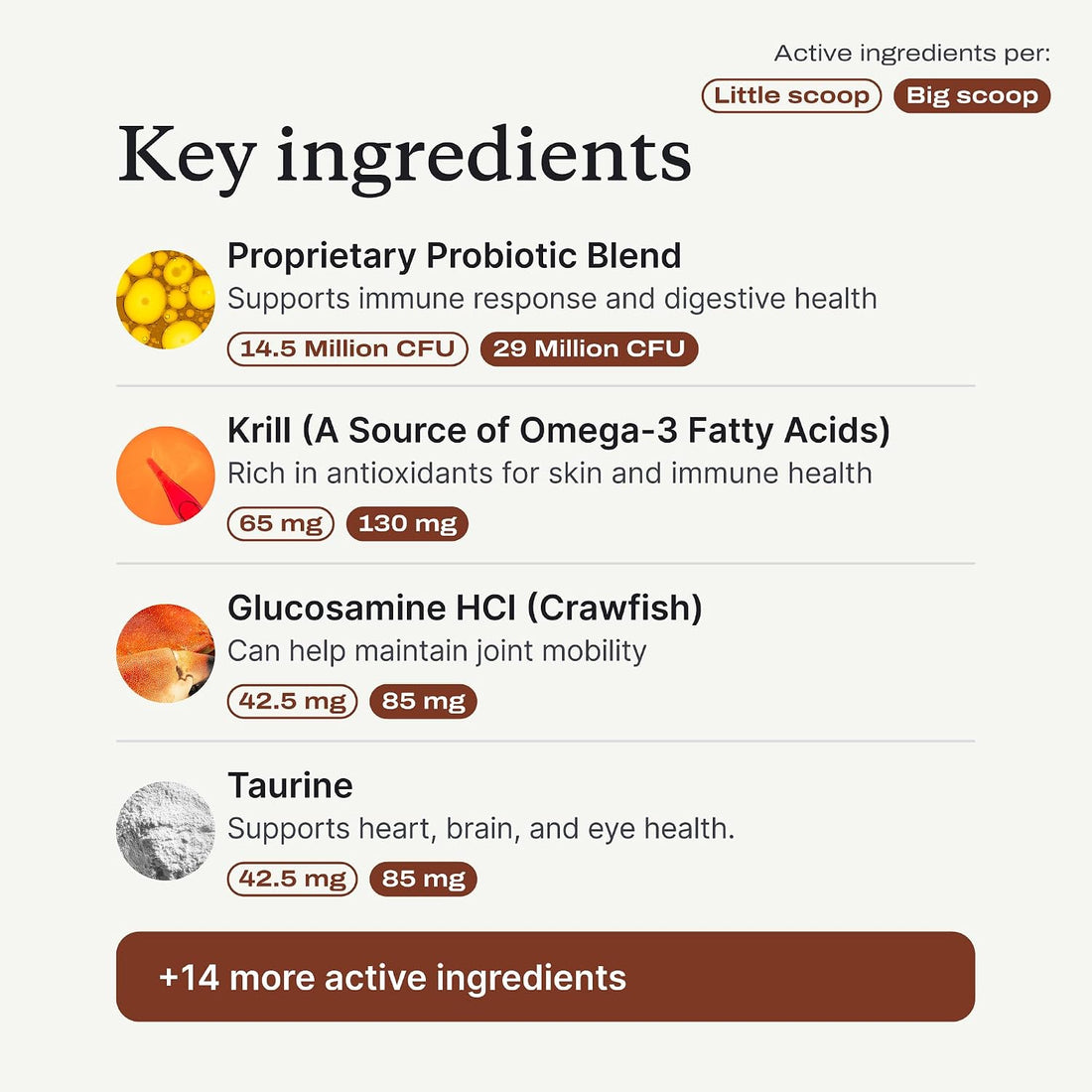 PetLab Co. DF-14 Daily Foundation Supplement for