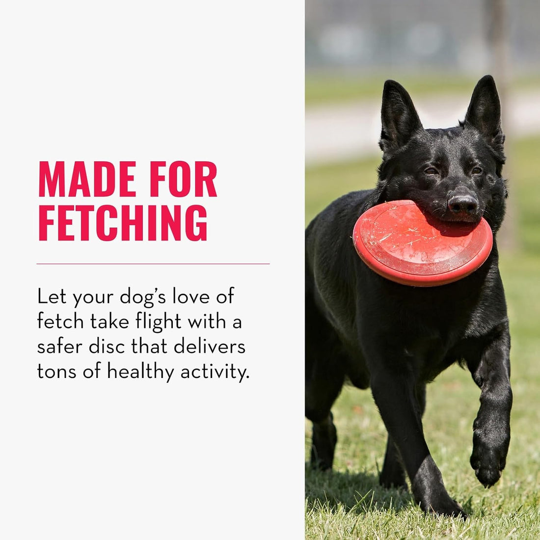 KONG Flyer - Durable Dog Toy for Outdoor Playtime
