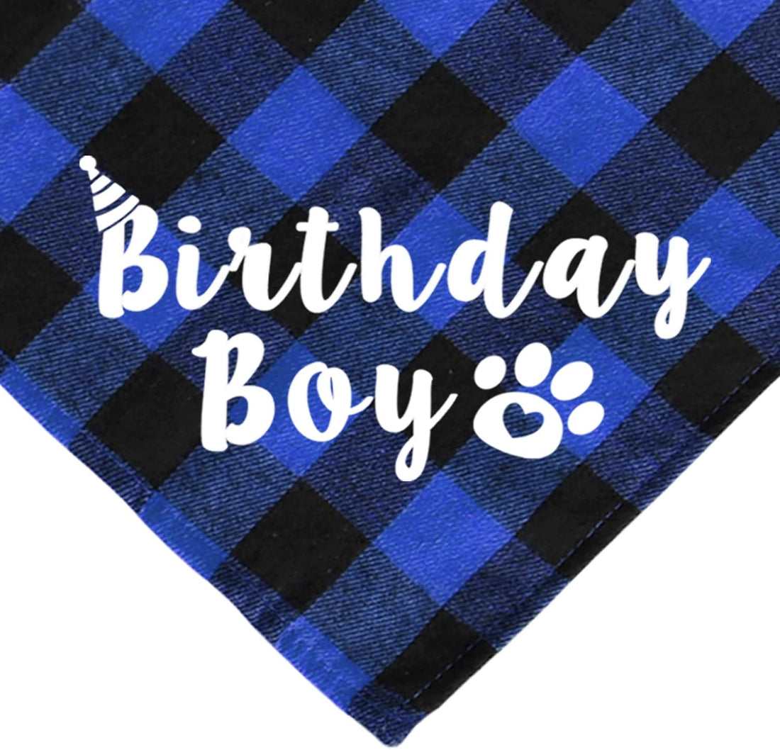 JOTFA Cat Birthday Party Supplies