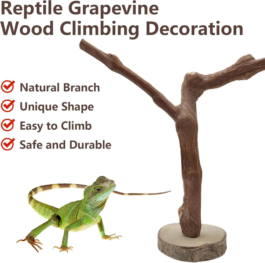 BNOSDM Reptile Grapevine Wood Lizard Natural Wood Climb Tree Branch