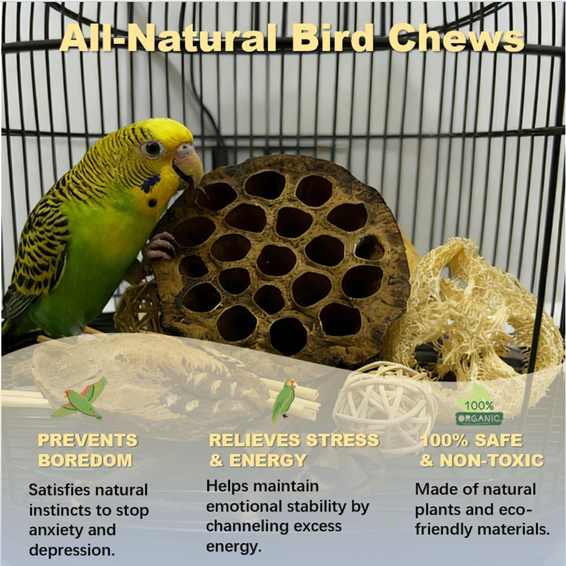 Bird Pet Toys - Lotus Pod Foraging Box, 10 Natural Ingredients