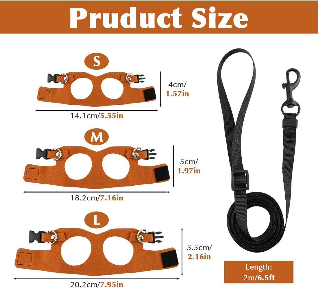 3PCS Bearded Dragon Harness and Leash Set