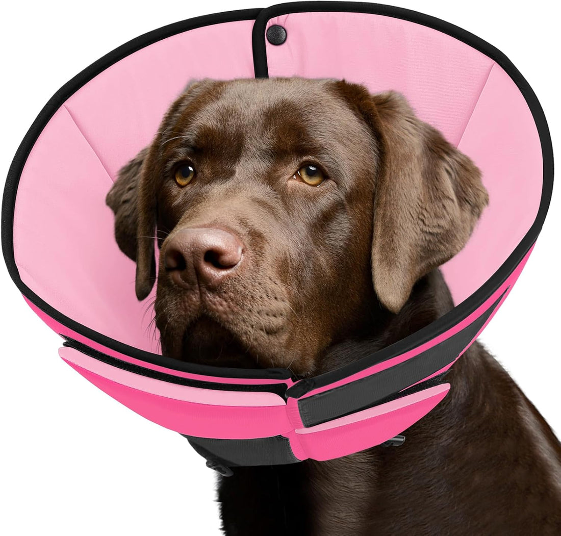 Queenmore Dog Cones for Small Dogs, Soft Dog Cone After Surgery