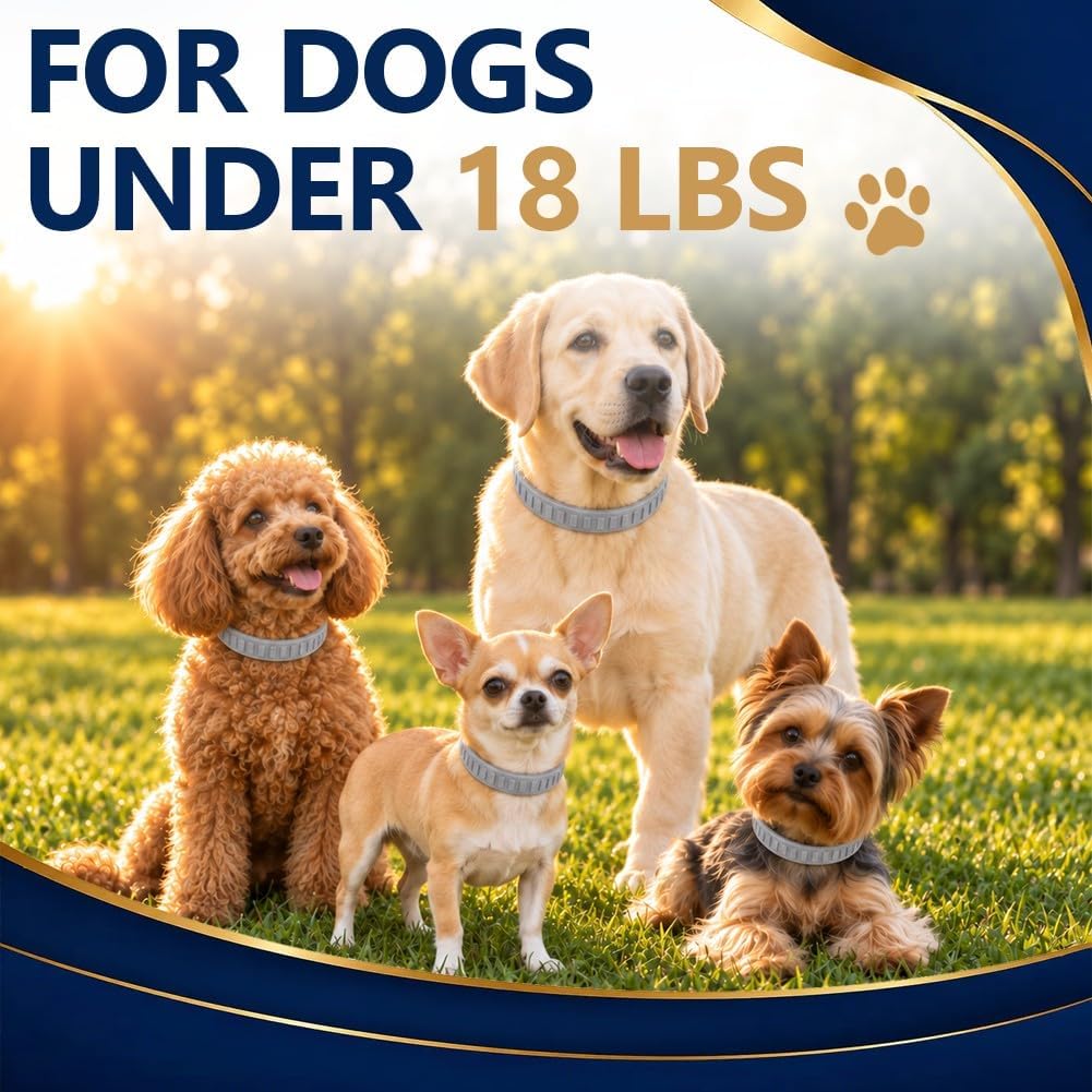 Flea Collar for Dogs, Flea and Tick Collar for Small Dogs, 4 Pcs